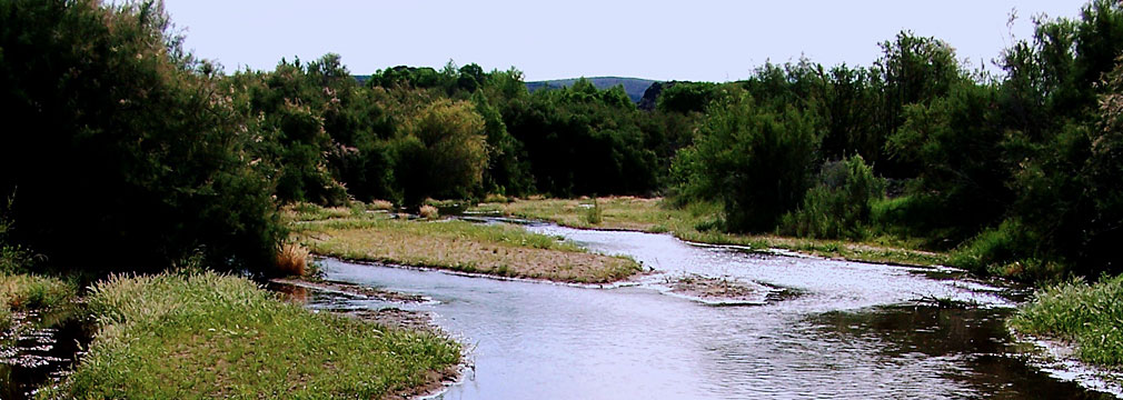 Bill Williams River